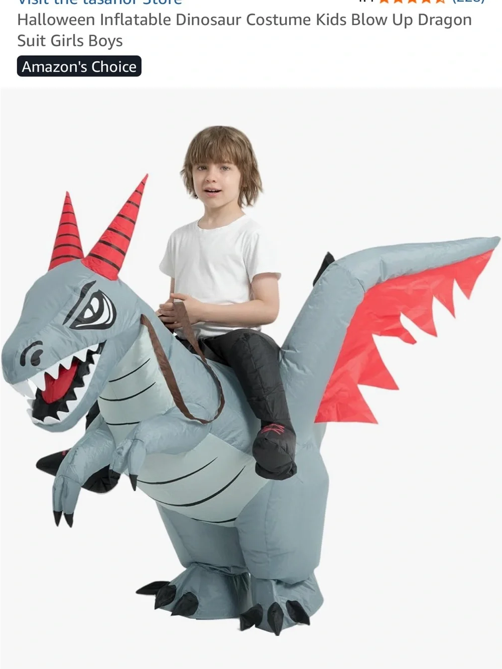 Gray Inflatable Dragon Ride-On Costume for Kids